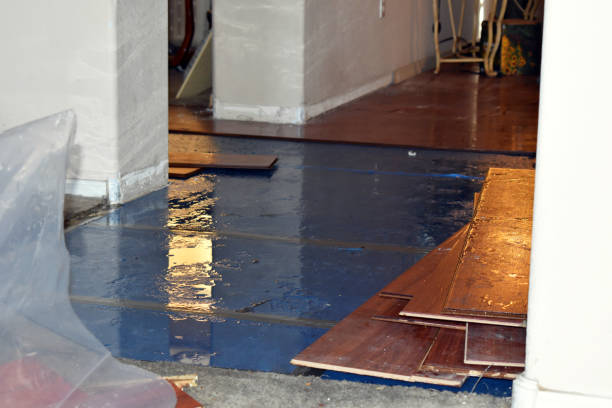 Professional Flood Damage Repair technician working in Summerland, CA